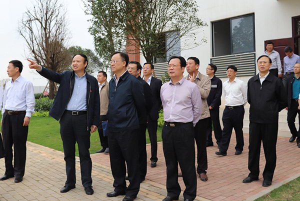 自治区政府副主席黄俊华（前排右二）听取情况汇报.jpg