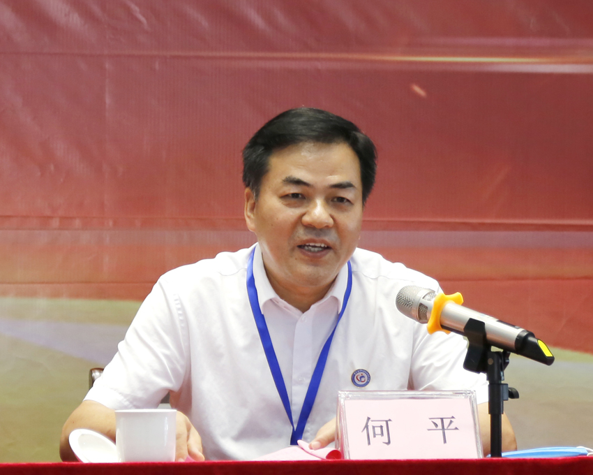 何平书记.jpg
