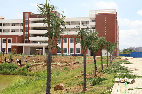 a011.jpg